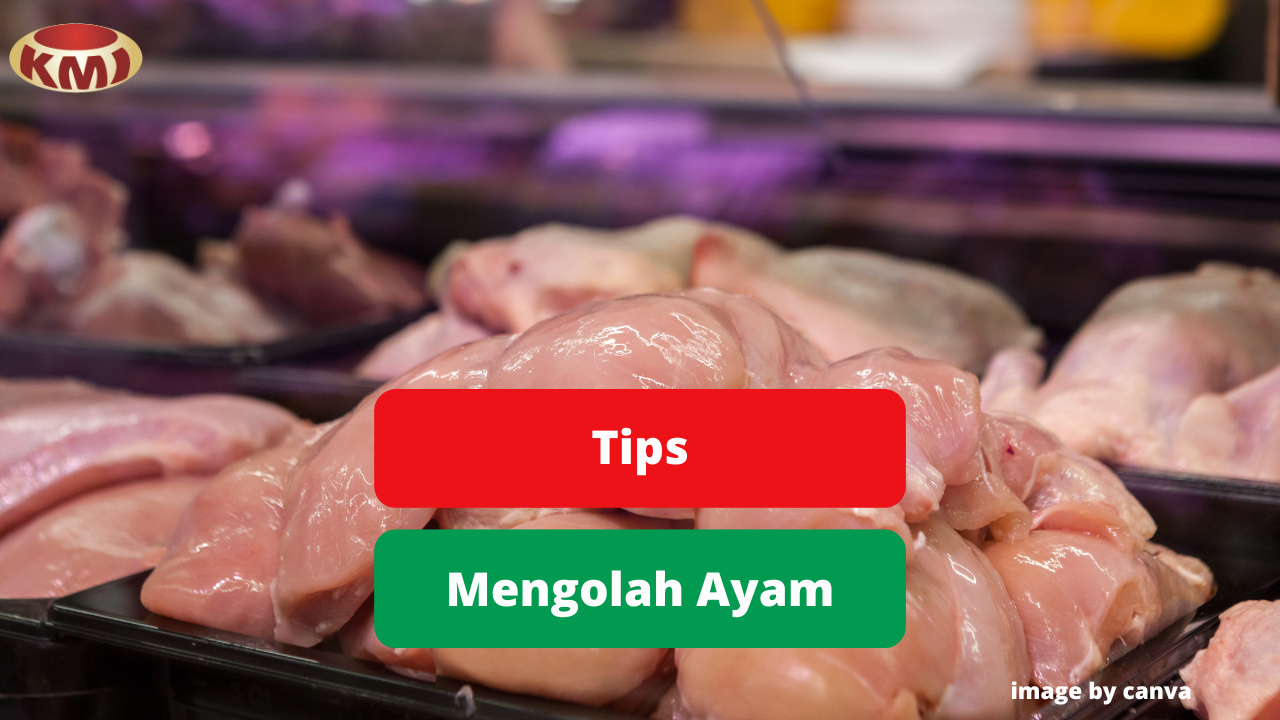 Ketahui Pengolahan Aman Daging Ayam